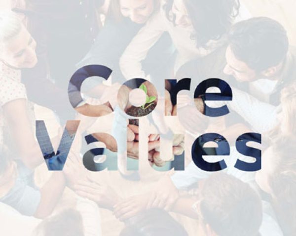 Some of the Values That are important for every Organization