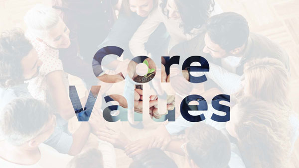 Organizational Values